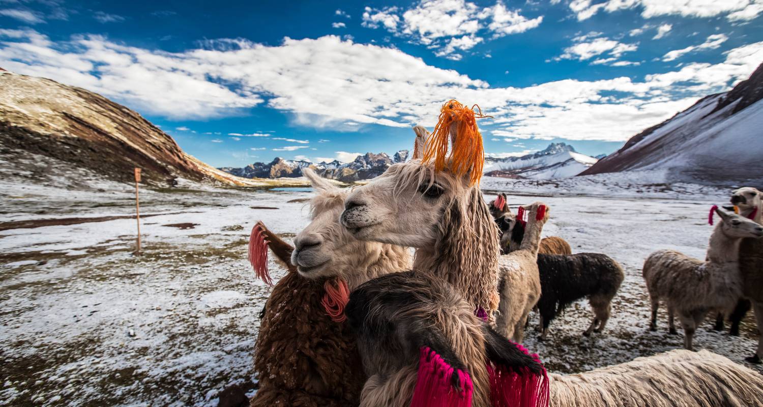 Picos Sagrados y Maravillas Ancestrales:  Expedición al Ausangate y Machu Picchu (7 Días) - Valencia Travel Cusco