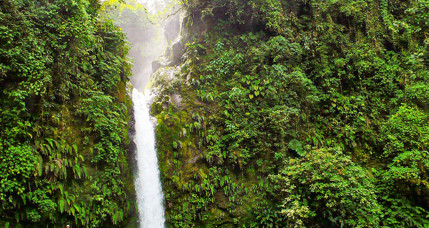 On the Trail of Costa Rica's Natural Treasures - Gebeco