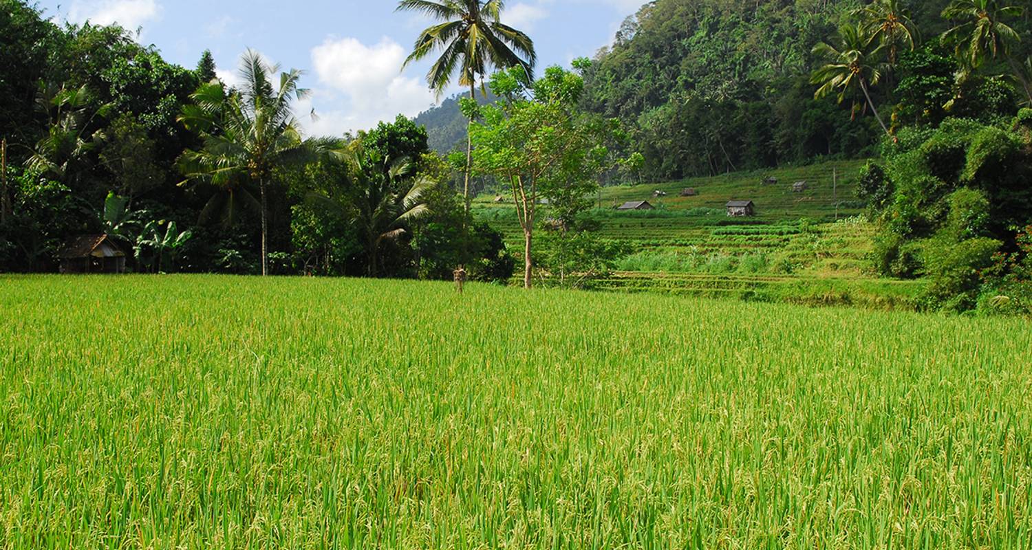 Diversidad indonesia en Sumatra, Java y Bali - Gebeco