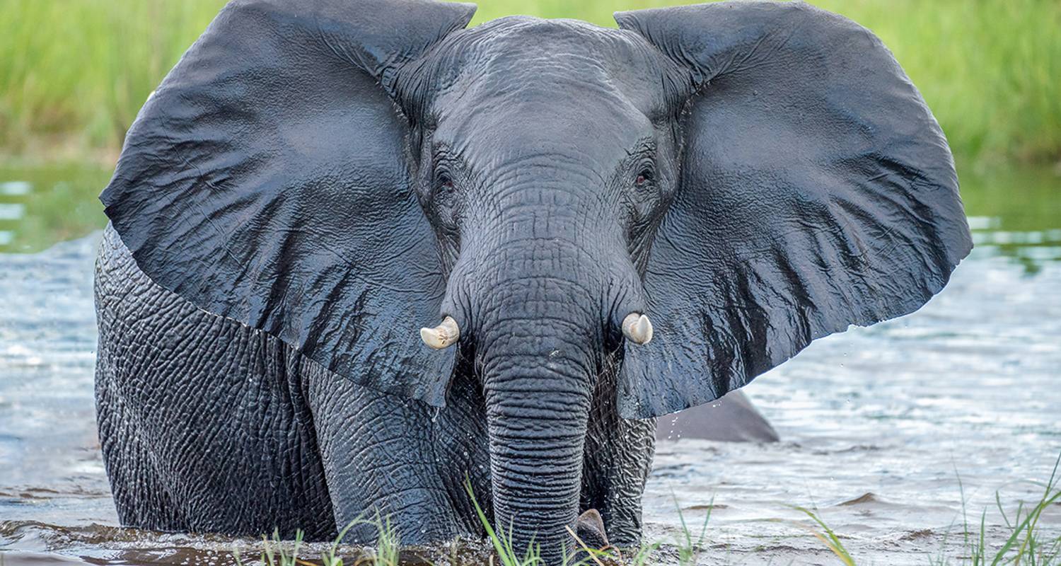 Namibia - de Windhoek a las Cataratas Victoria - Gebeco