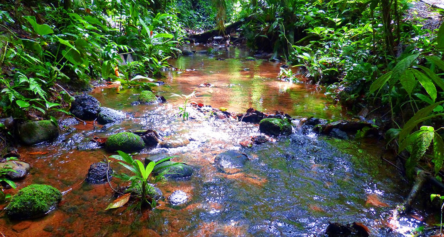 Pura Vida - Naturparadies Costa Rica - Gebeco