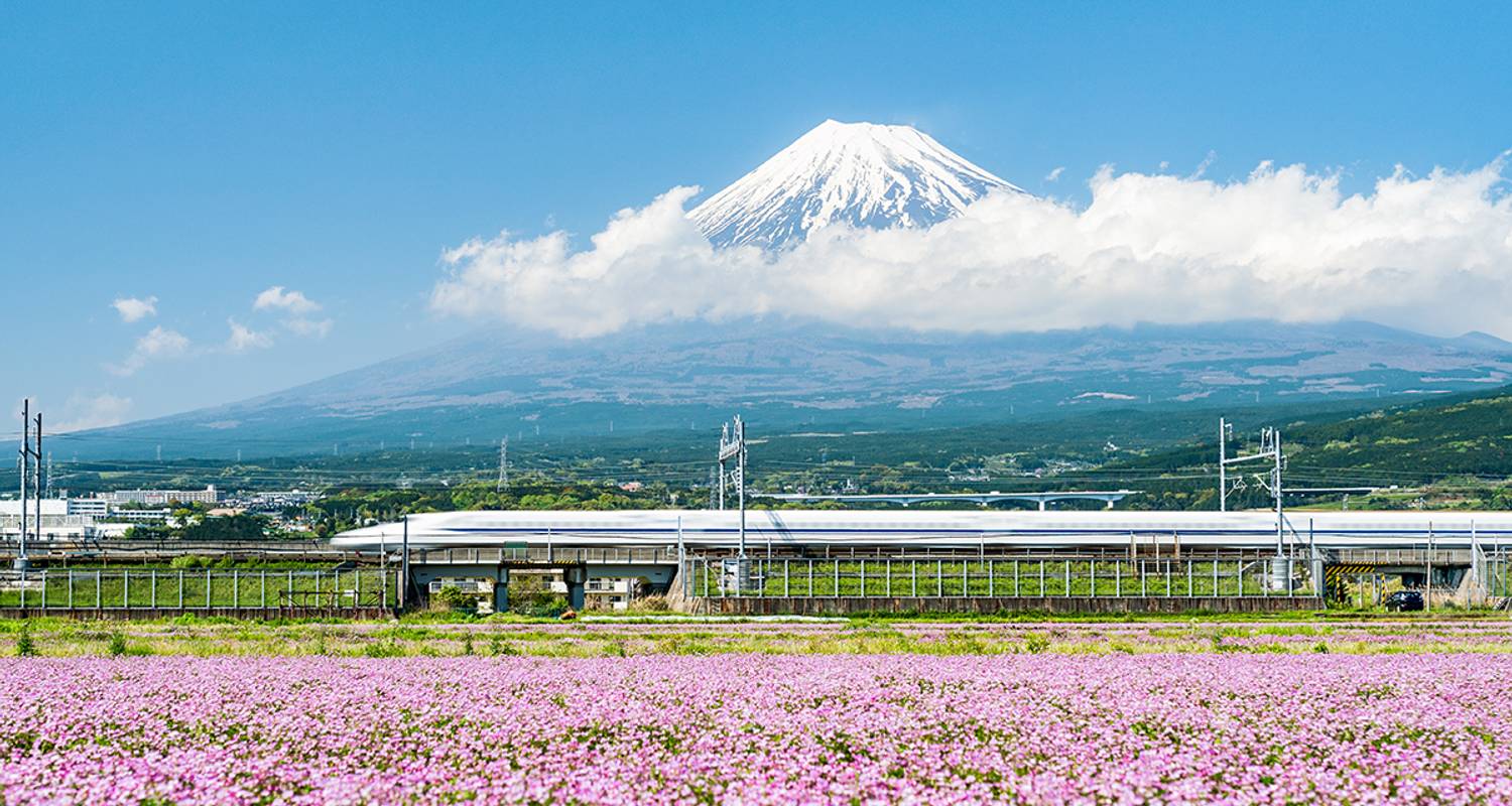 Japón - en tren de norte a sur - Gebeco