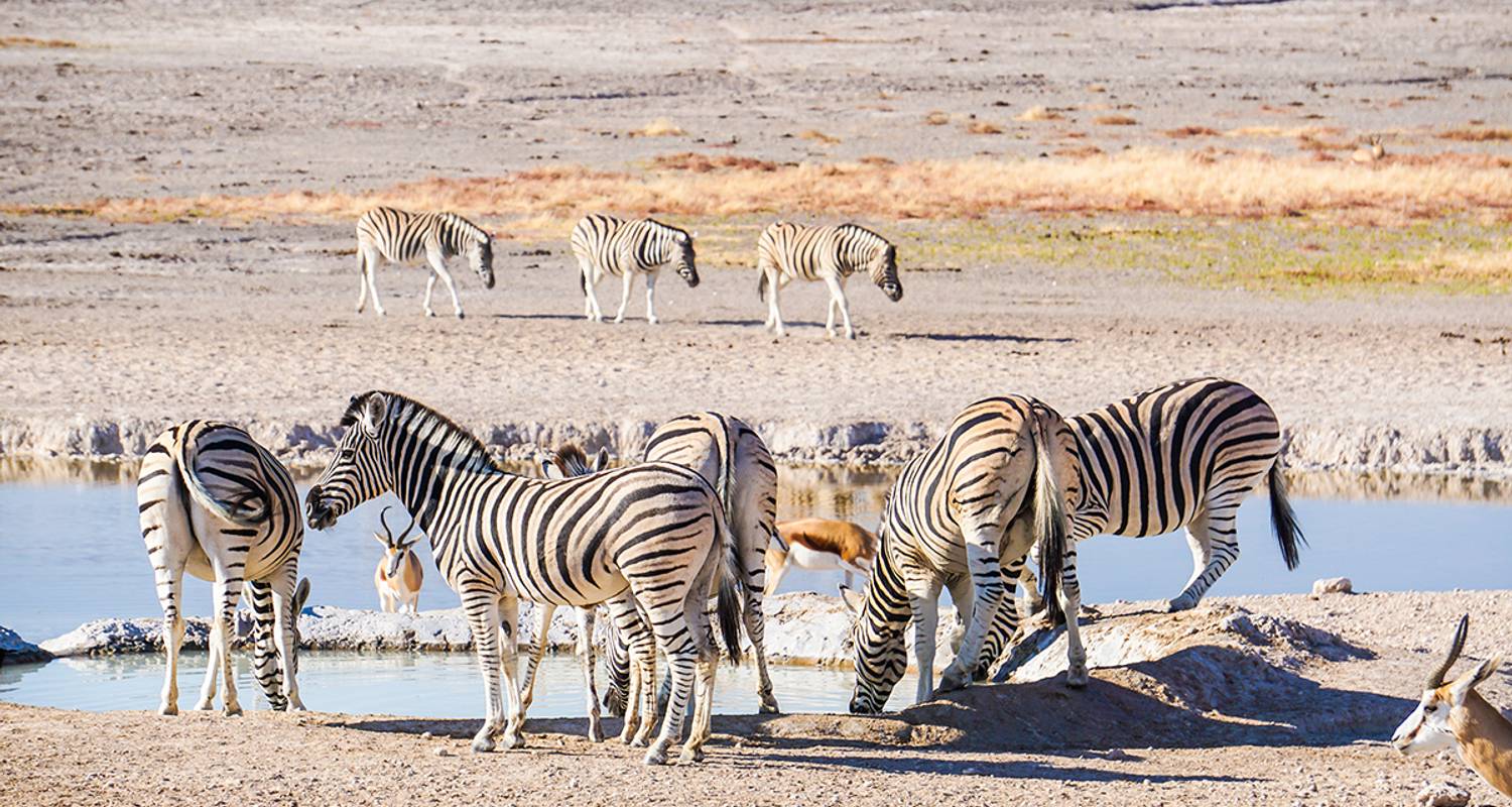 Namibia - Wildnis und Weite - Gebeco