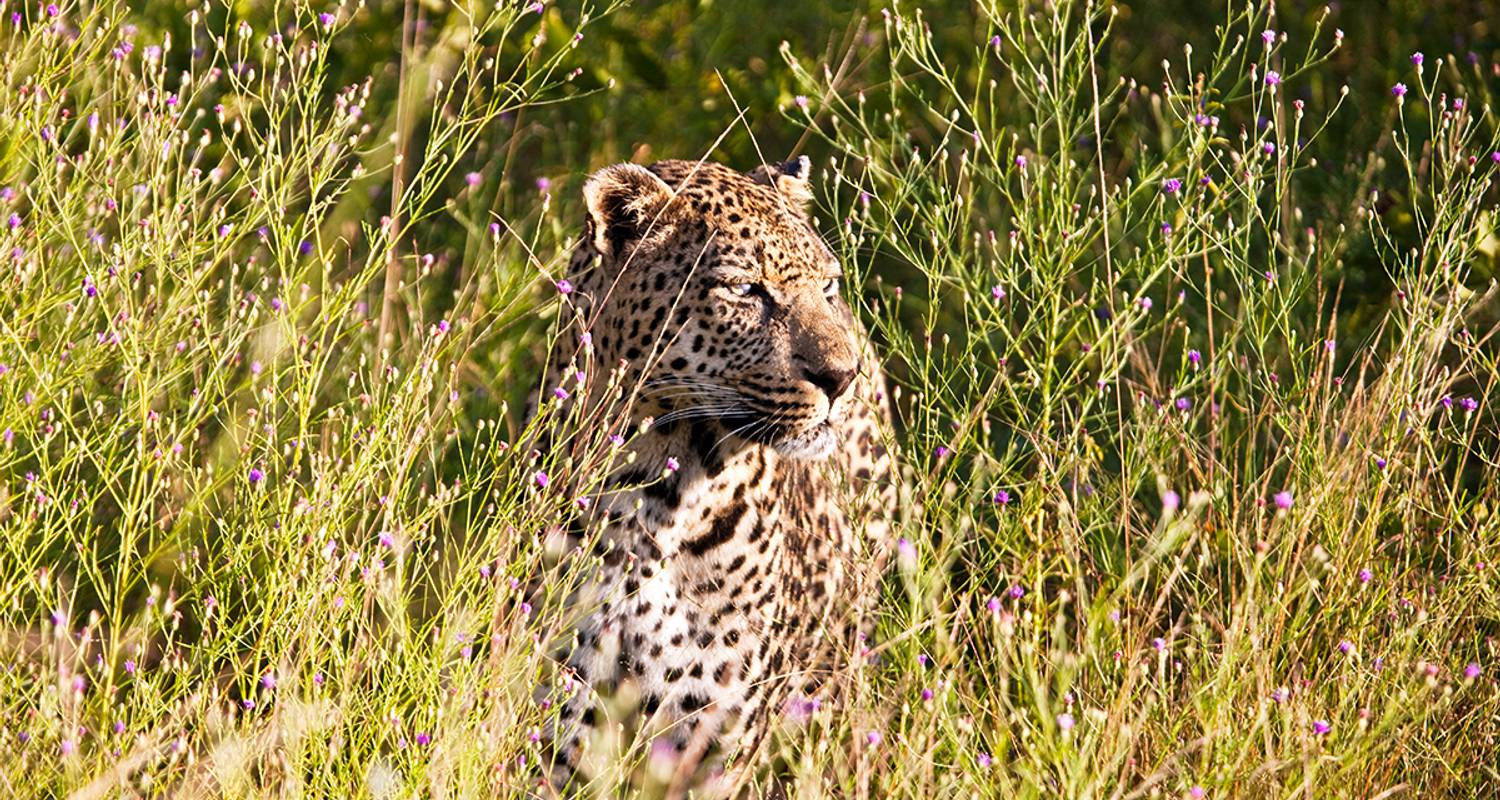 Südafrika - Freie Wildnis und Indischer Ozean - Gebeco