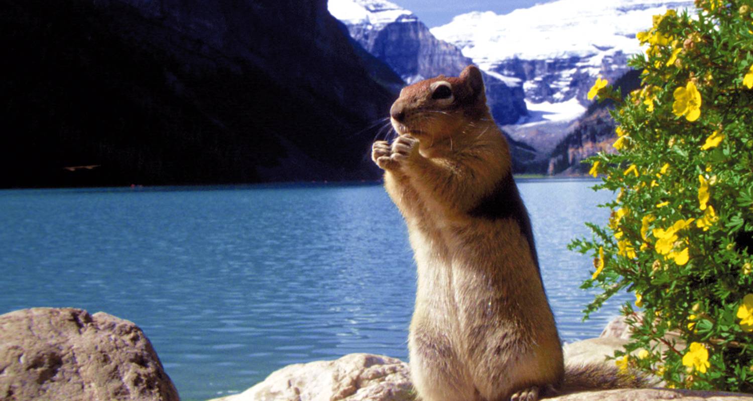 Merveilles naturelles de l'Ouest canadien - Gebeco