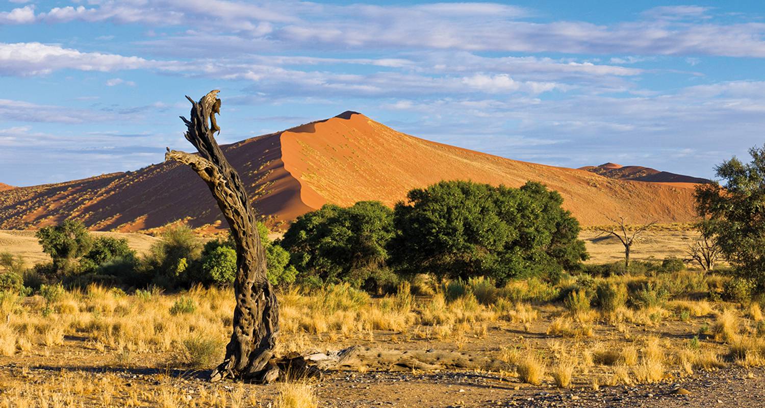 Descubre Namibia - Gebeco