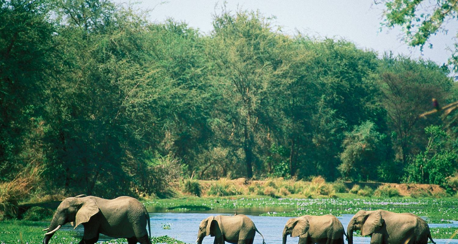 Les trésors naturels de l'Afrique australe - Gebeco