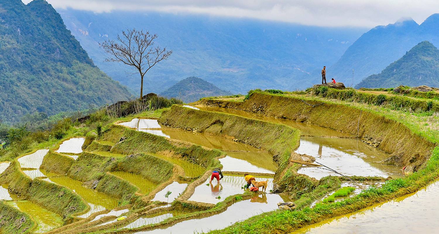 Christmas & New Year Tours & Trips in Mai Chau