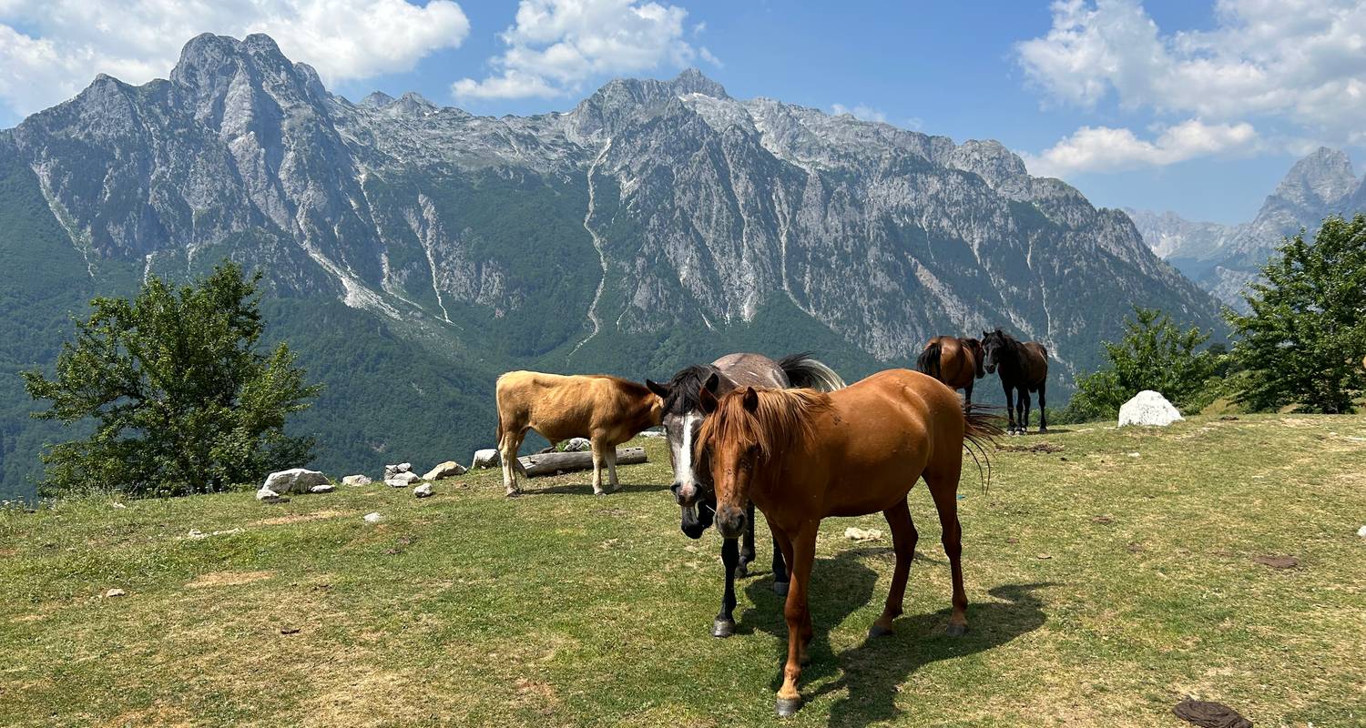 Excursión de 4 días por los Alpes Albaneses - SEE Trips