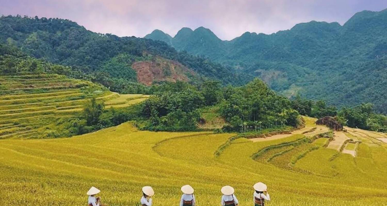 Au départ de Hanoi : Circuit de 3 jours à Mai Chau, Puluong et Ninh Binh - vélo, culture, rizières en terrasses et vues panoramiques - Open Asia Travel 