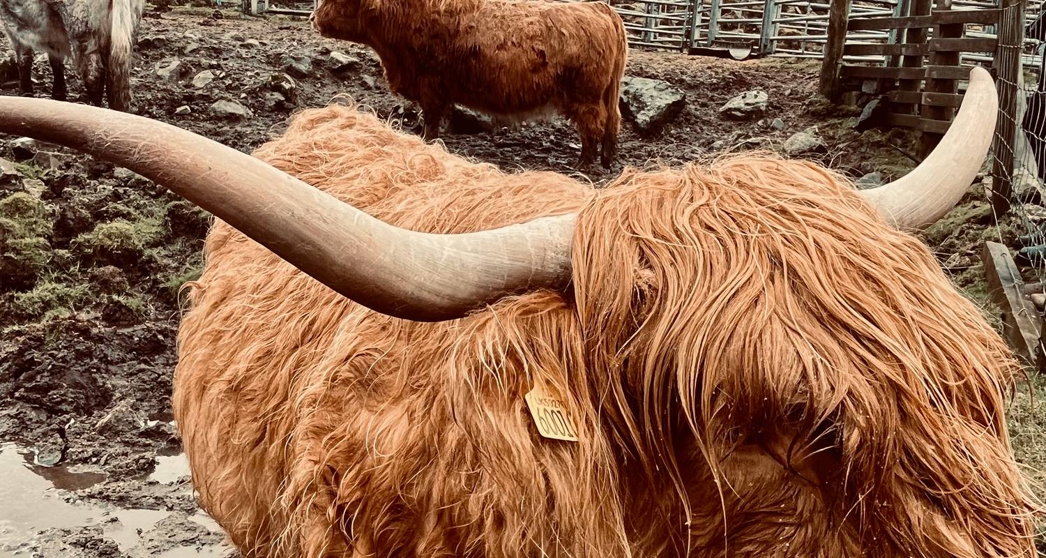 From Glasgow: Highland Experience's Scottish Choice