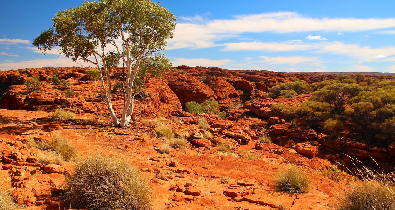 Histórico circuitos en Uluru / Ayers Rock