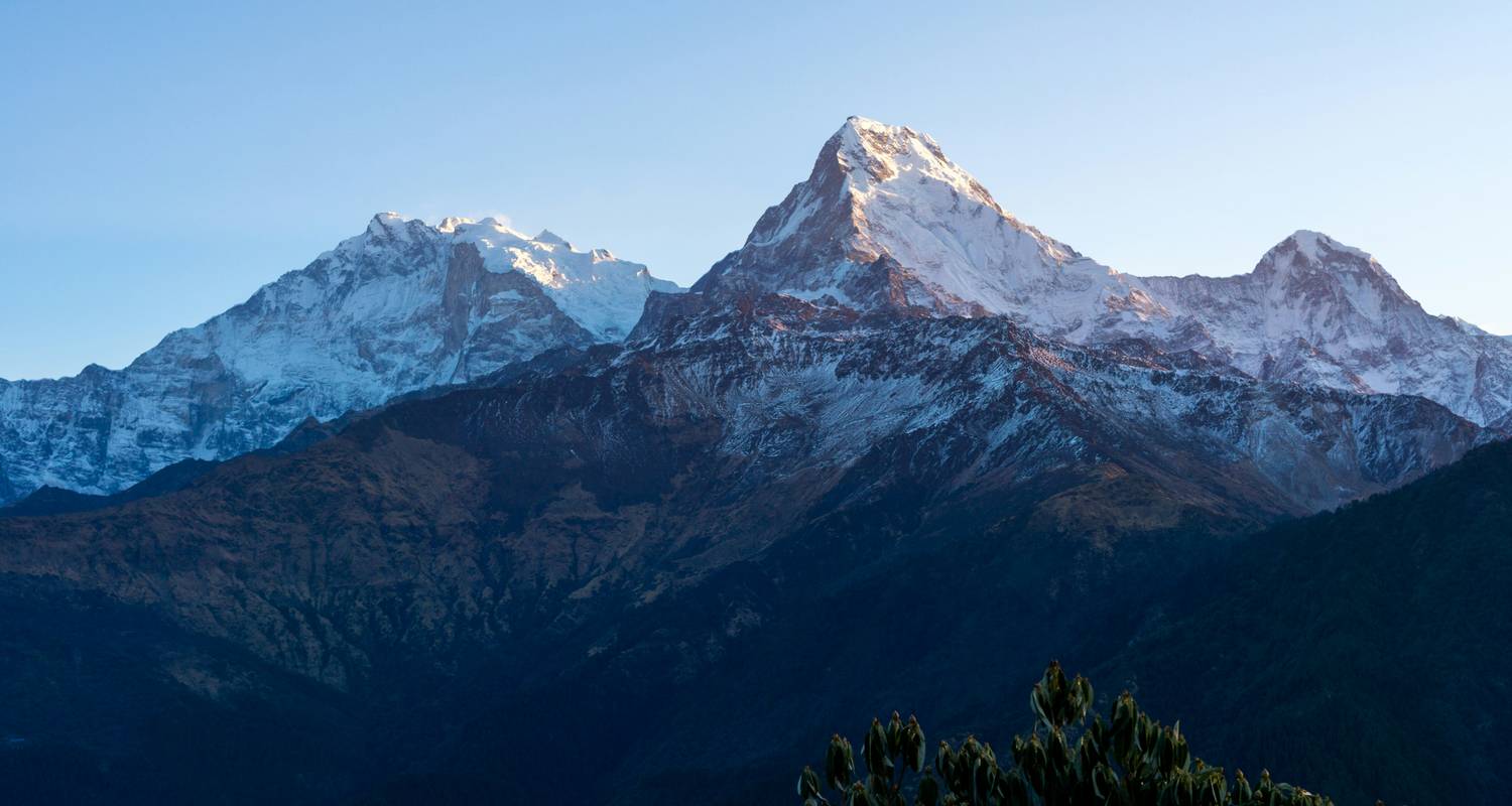 Yoga in Nepal: Kathmandu-Pokhara-Poonhill - Alpine Club of Himalaya