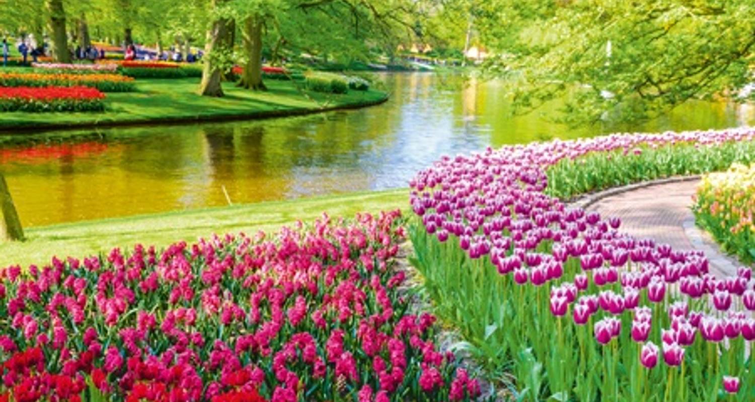Circuits et voyages au Keukenhof