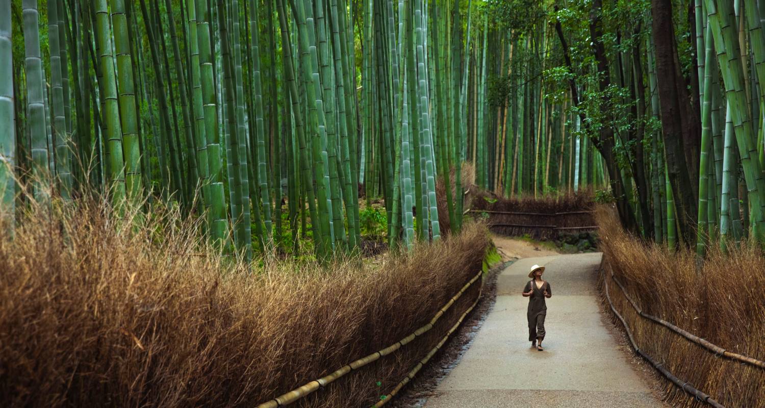 Solo-ish Japon - G Adventures