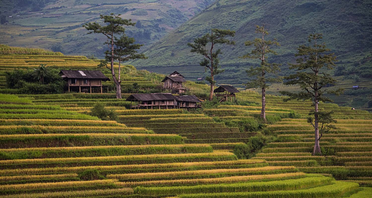 Classic Vietnam: Sapa to Ho Chi Minh - G Adventures