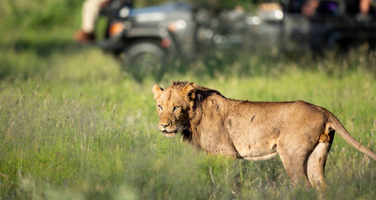 Paquete de safari de 5 días por Tanzania con los Cinco Grandes - T.S TOURS