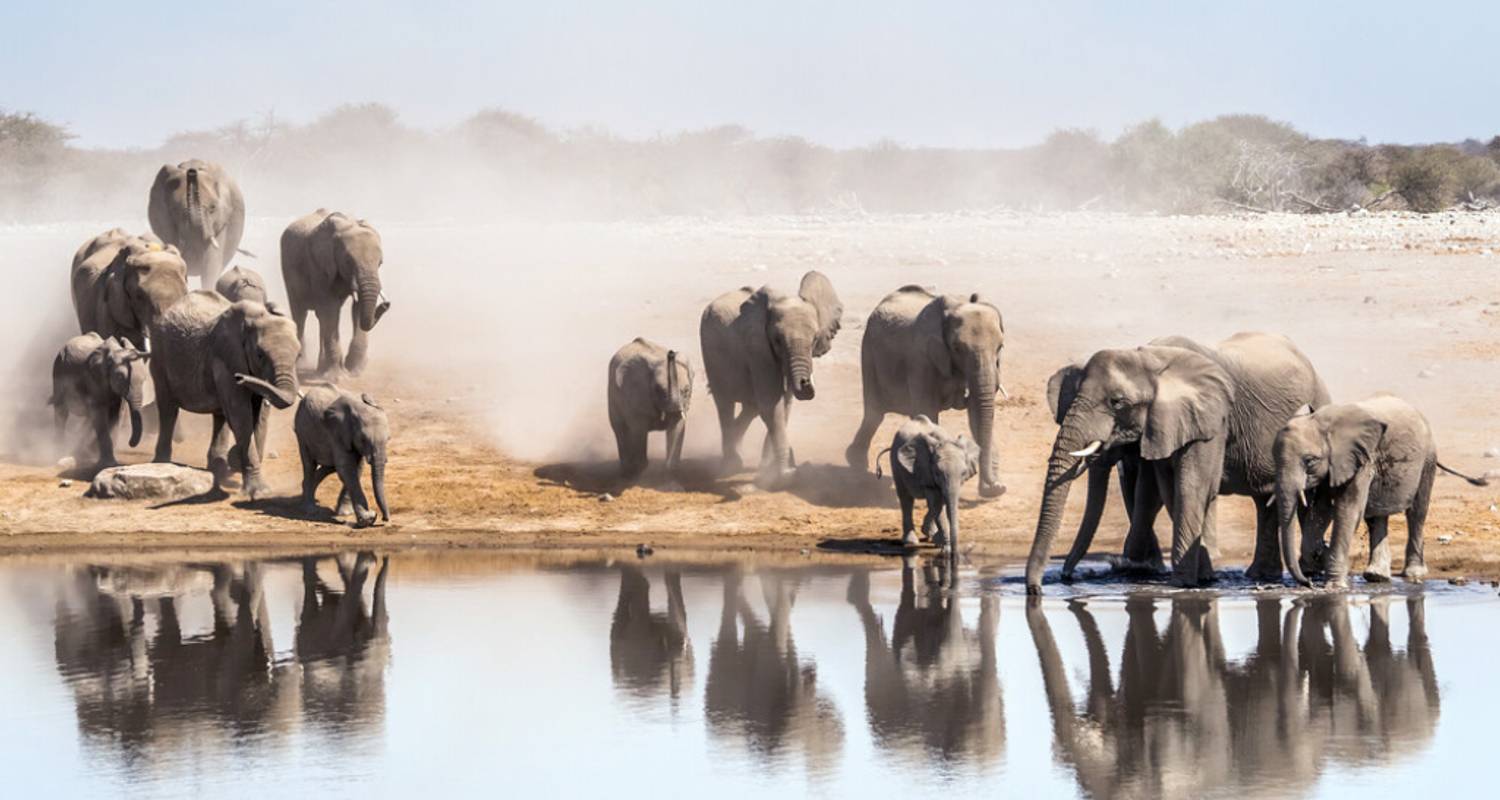 5-Day Etosha National Park and Himba Community Safari - Knap Tours Limited