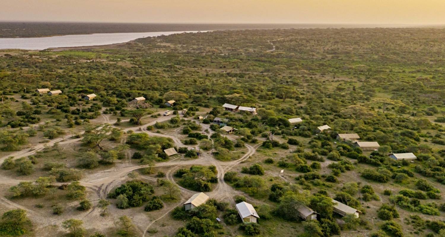 7 Tage Lake Ndutu Safari mit der Großen Migration - Professional Safari Africa