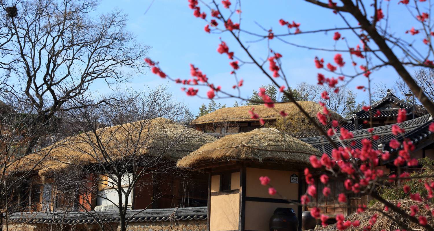 Japan meets Südkorea: Train Ride to Hanok & Harajuku (9 Destinationen) - journaway