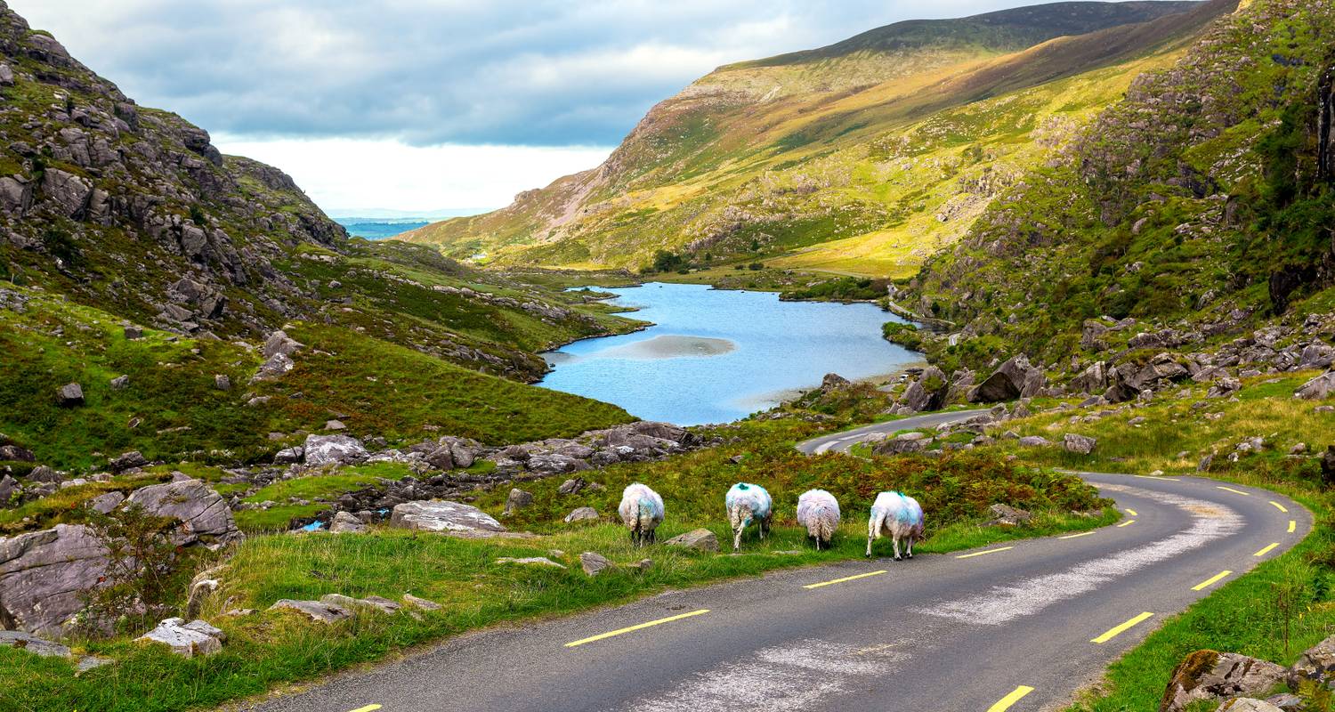 Roadtrip Ierland: Glamping op de Wild Atlantic Way (inclusief Killarney) - journaway