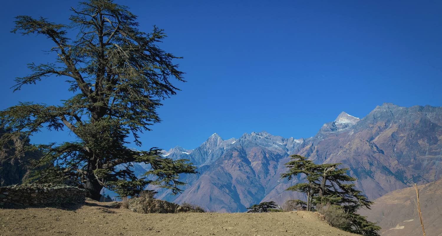 Untere Dolpo Trekking Tour - Alpine Club of Himalaya