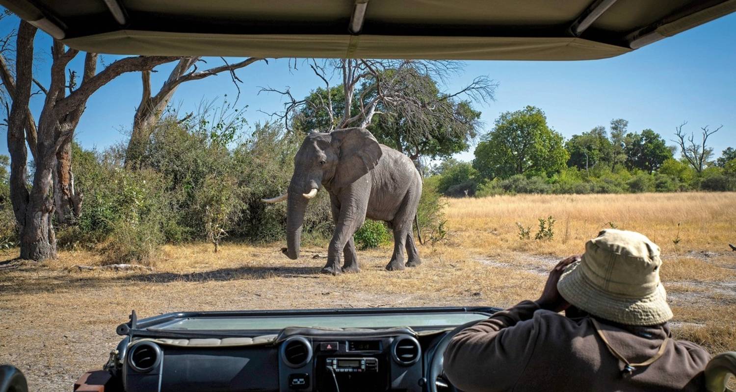 Botswana - Safari droom met Natuurlijke Selectie 6 nachten - DERTOUR