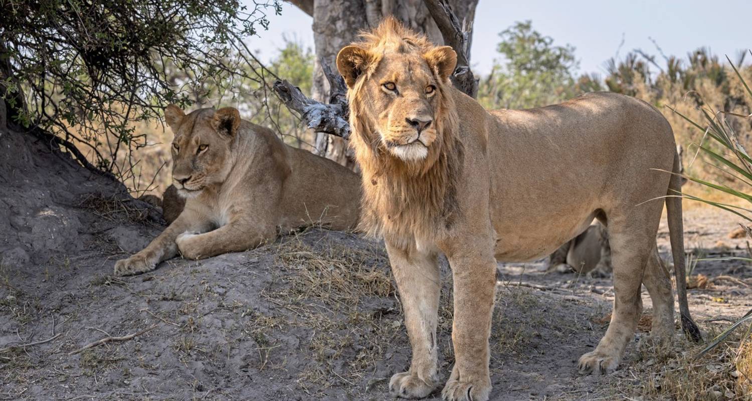 Botswana Rundreisen Kleingruppe
