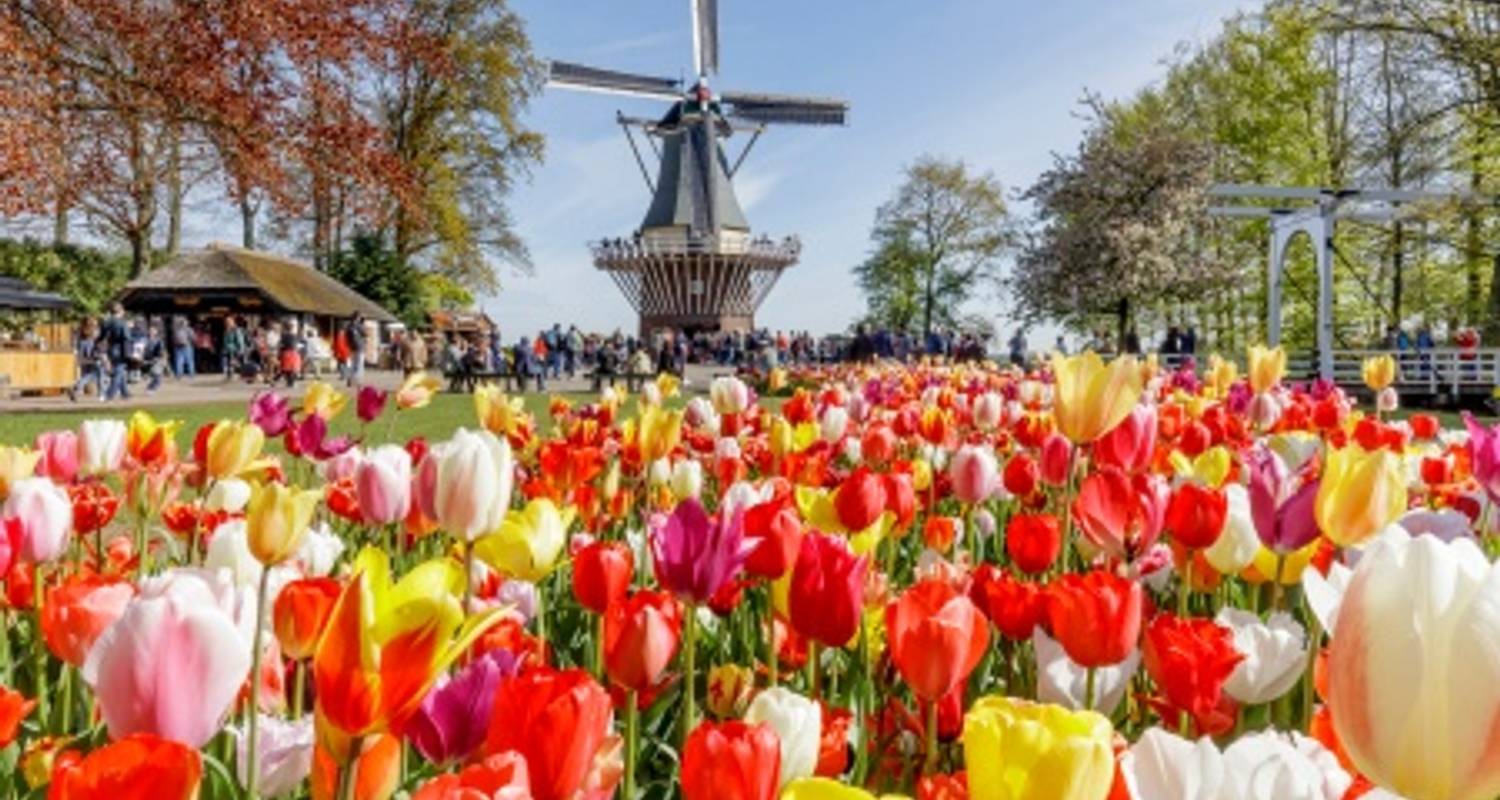 7-Day Belgium and Netherlands Tour Packages
