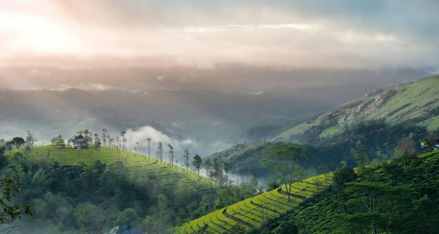 Paquete turístico en Munnar - Ramble Advisor