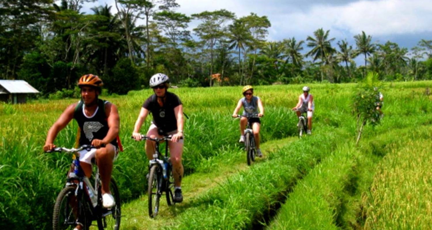 6 Tage Bali In Depth Tour (privater Reiseleiter & Fahrer） - UME Travel Co. Ltd