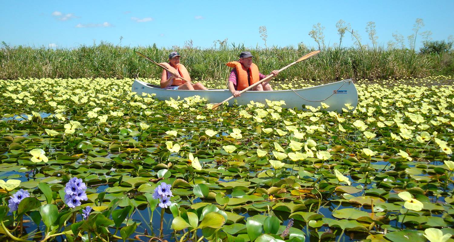 5-Day Iguazu Falls & Ibera Wetlands Eco-Tour from Buenos Aires - Signature Tours