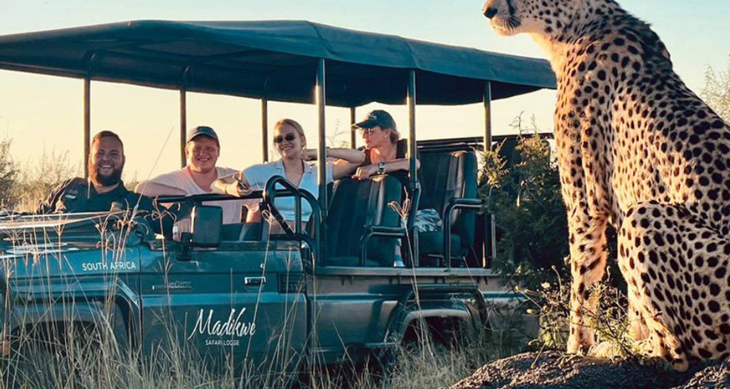 5-Day Hooneymoon Safari at Madikwe Safari Lodge - Knap Tours Limited