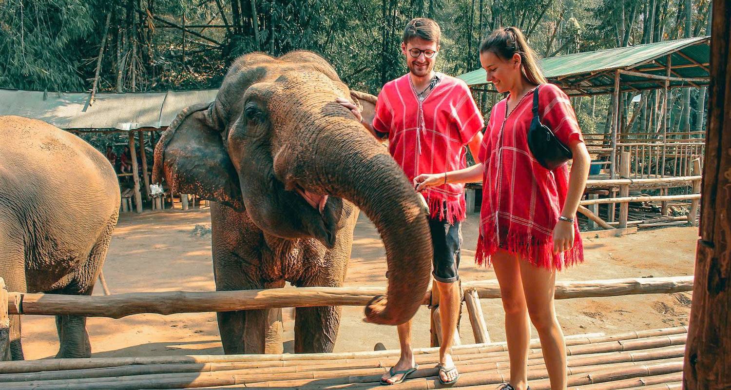 Tailandia Encantadora: Un viaje de 13 días a través de la cultura, la historia y el paraíso - Open Asia Travel 