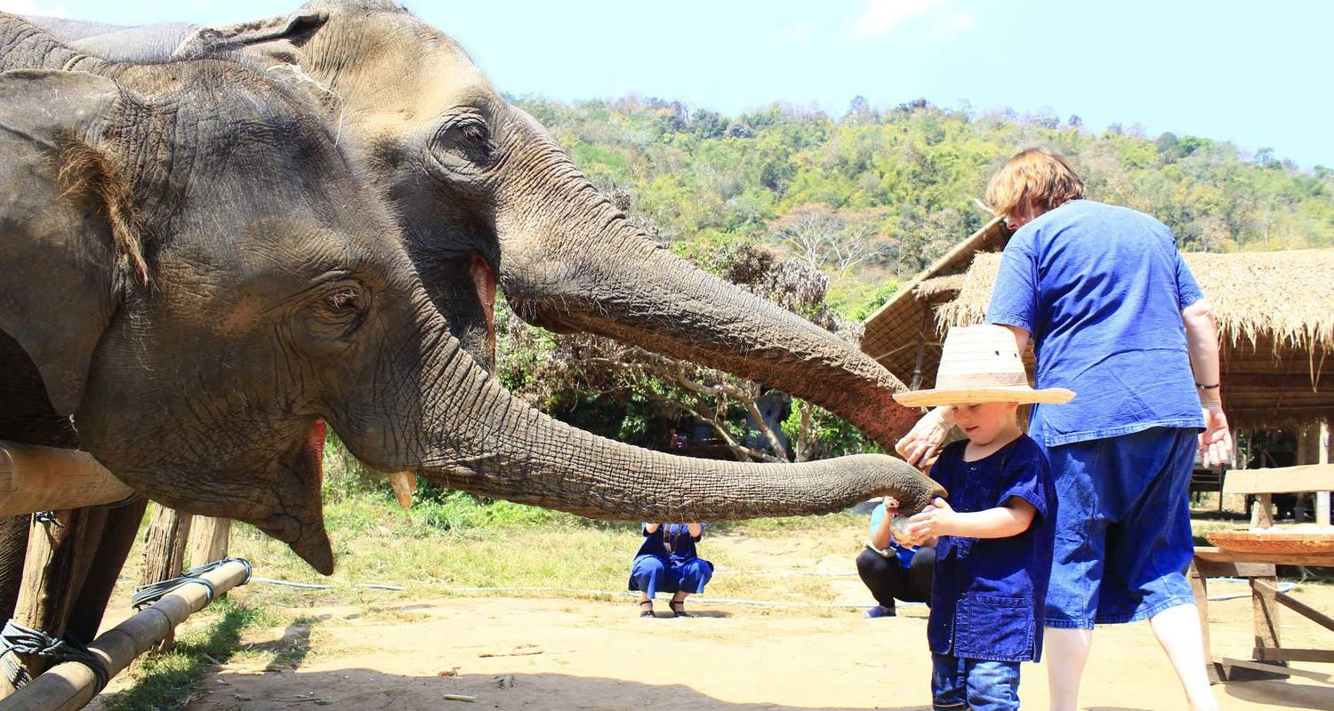 Escapada a la Naturaleza de Tailandia: Aventura auténtica de 10 días en Bangkok, Chiang Mai y Chiang Rai - Open Asia Travel 