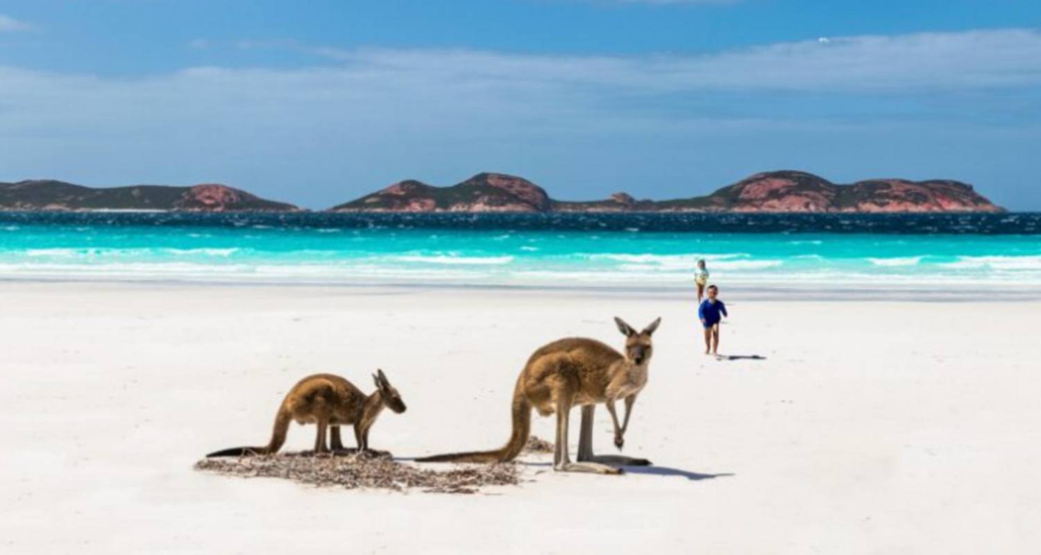 Kangaroo Island Escape : Un voyage au pays des merveilles de la nature en 3 jours - Receptivo Aborigen Tours