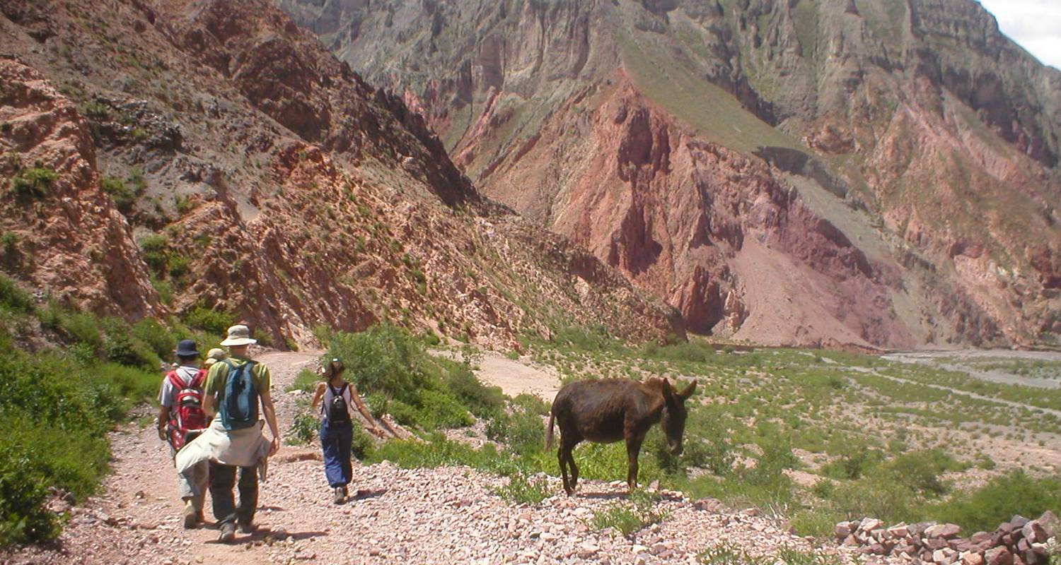 Maravillas del Norte Argentino: 5 Días en Salta y las Quebradas de Humahuaca - Signature Tours