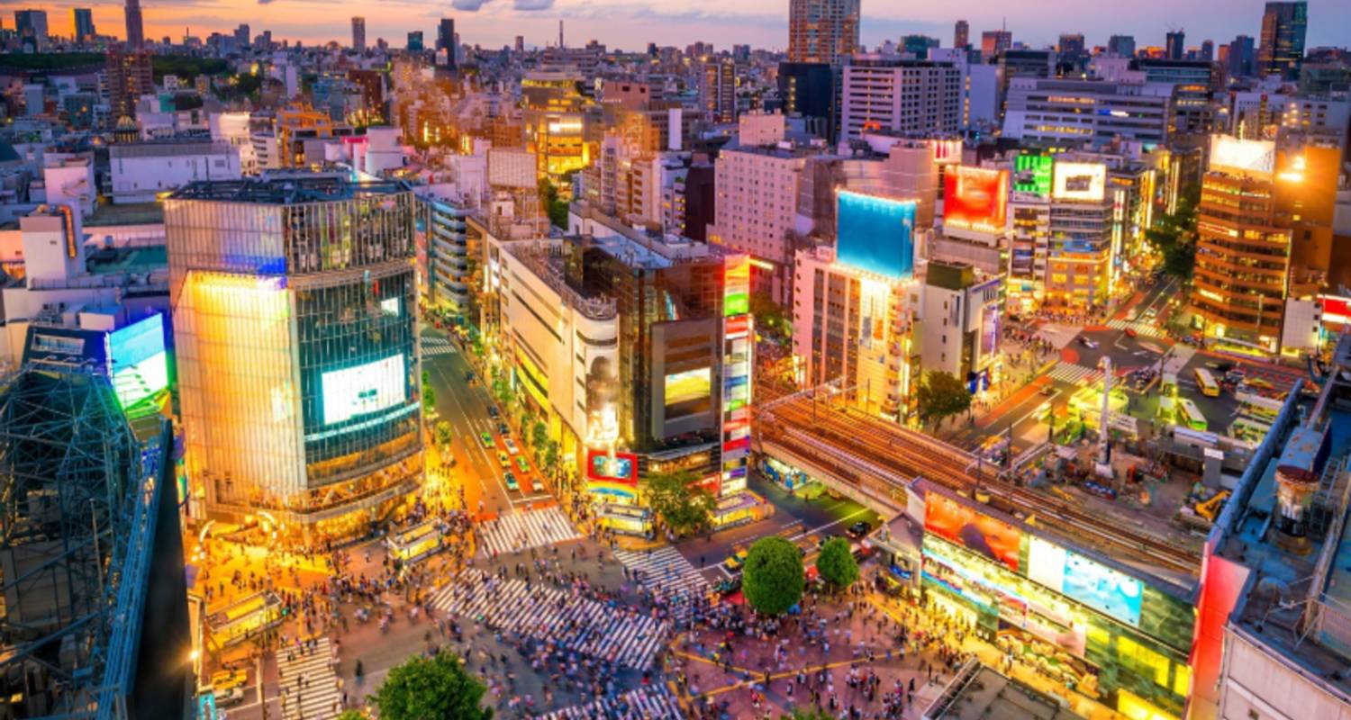 Découverte du Japon central : Tokyo, Mont Fuji, Kyoto et Toyota en 6 jours - Receptivo Aborigen Tours