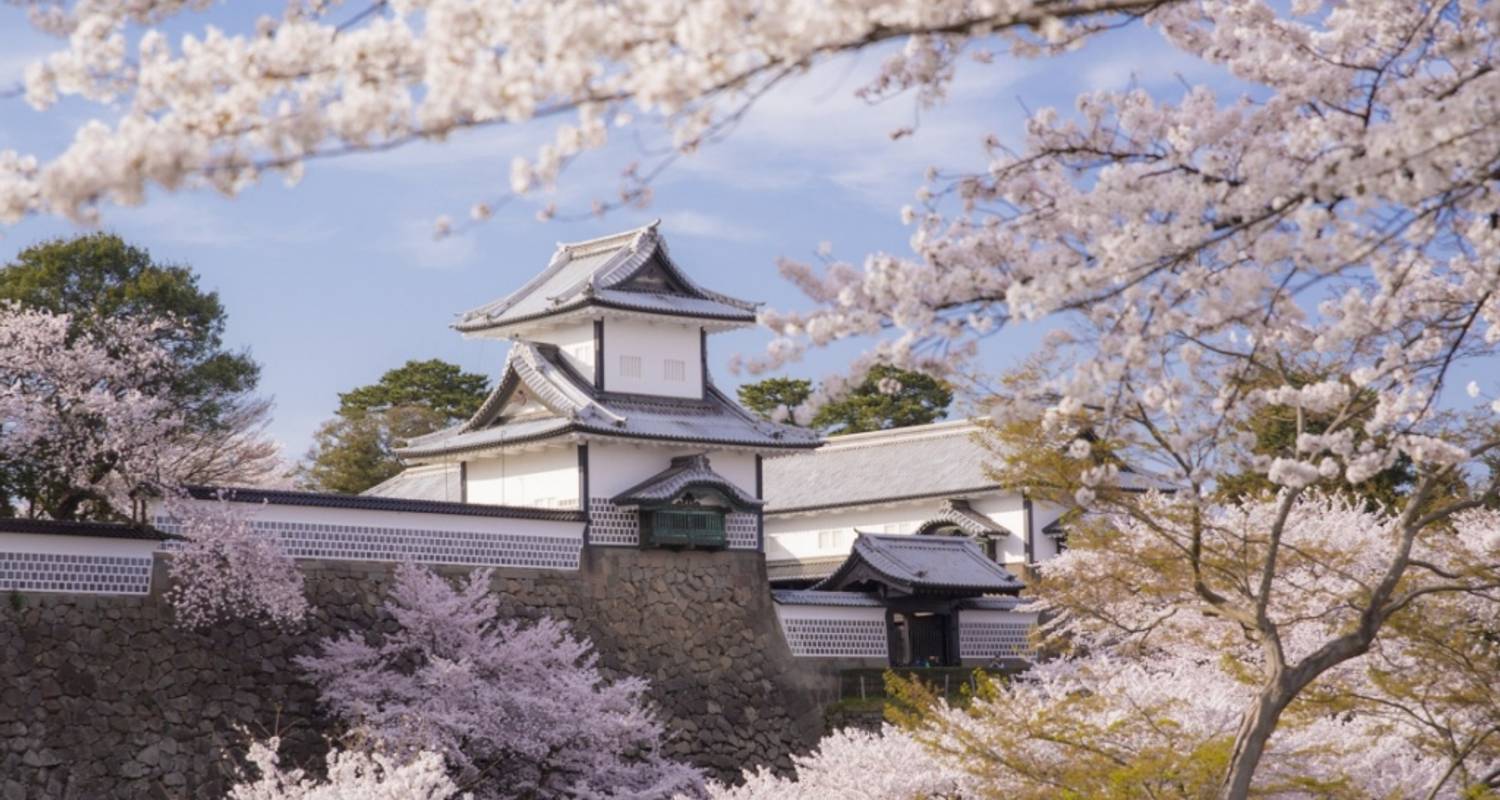 10 Days Essential Japan （Private Family Tour ）- Umetravel - UME Travel Co. Ltd