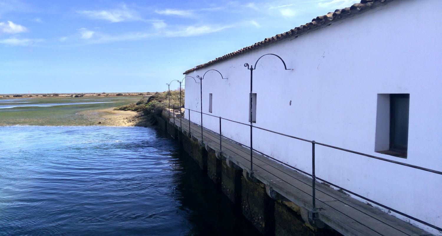 Le paradis des ornithologues, 8 jours avec voiture à Tavira - Be Cool