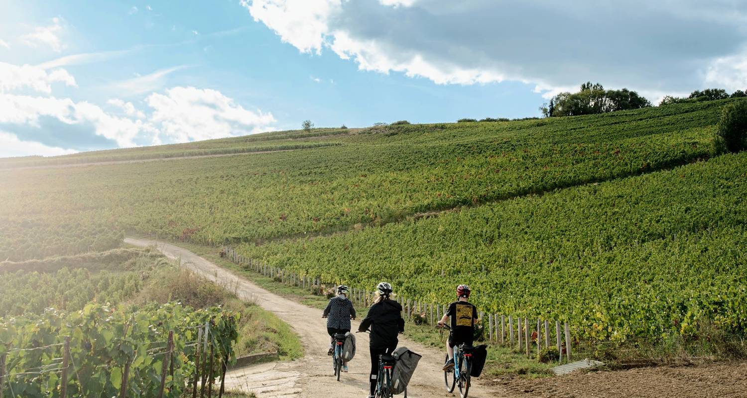 A Taste of Champagne - Cycling for Softies