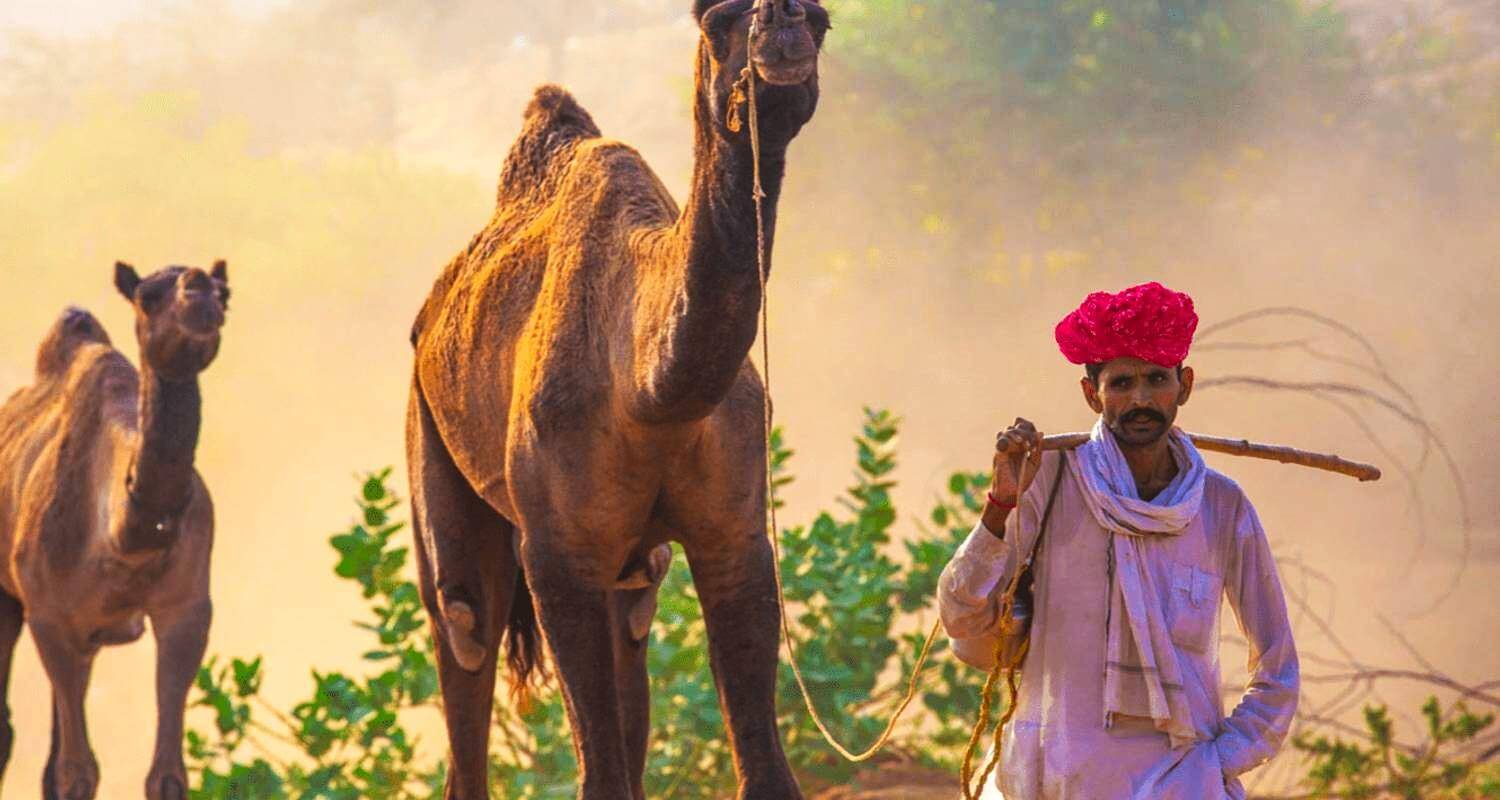 Kerala Backwaters Desert & Camel Safari Experience With Taj Mahal Visit At Sunrise - 12 Days -Luxury 4 Star Hotels - TTI TOURS