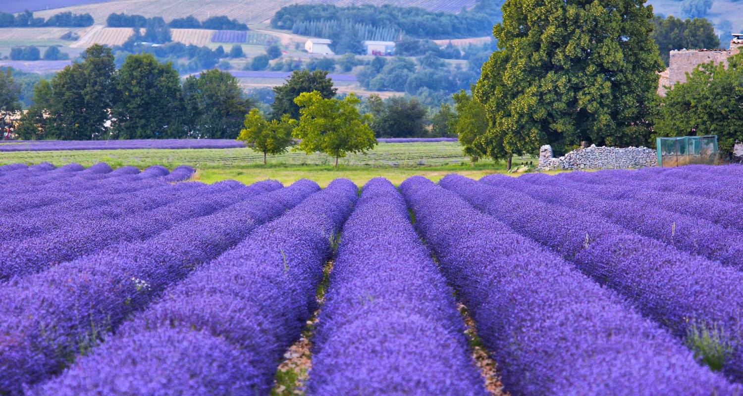 Luberon Valley Vistas - Cycling for Softies