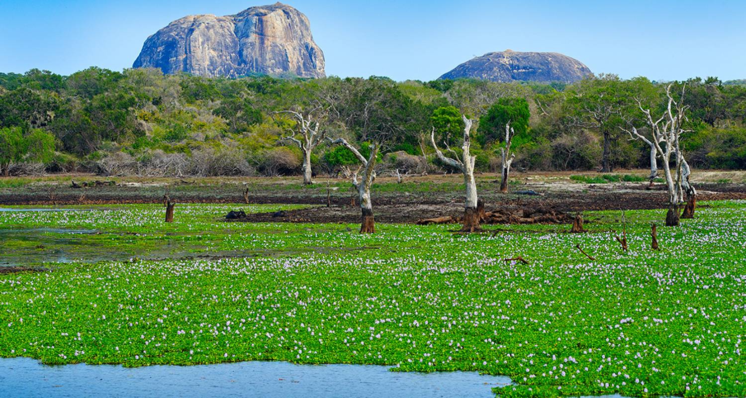 Cycle Sri Lanka (15 destinations) - Intrepid Travel