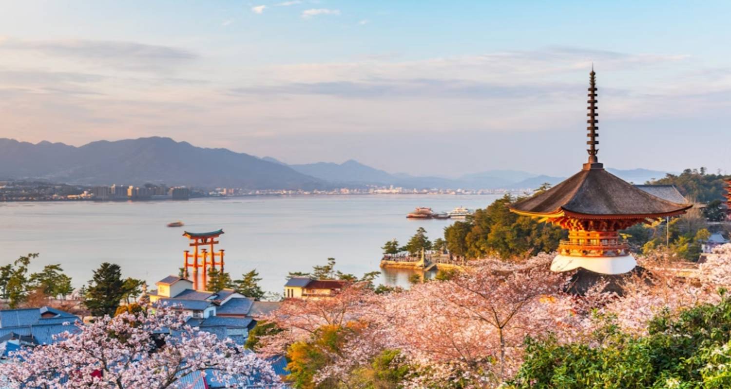 12 Days Exploring the Heart of Japan（Private Family Tour ）- Umetravel  - UME Travel Co. Ltd