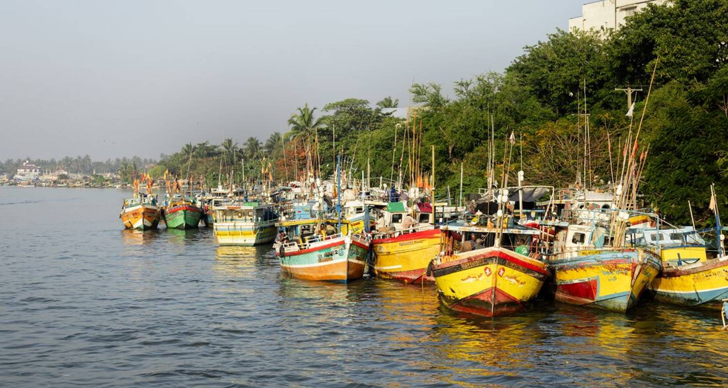 Circuitos en Sri Lanka para personas mayores