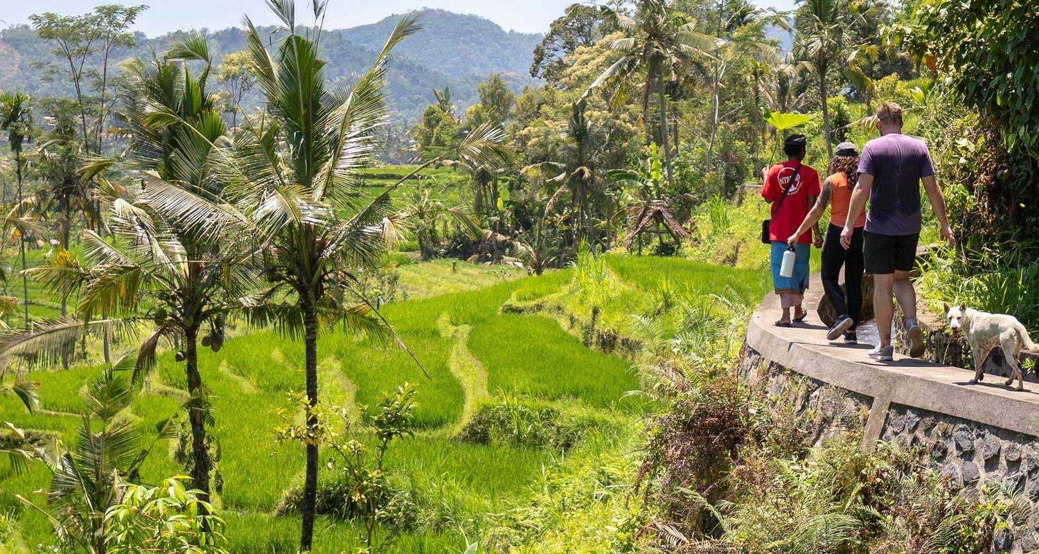 Circuits et voyages de 3 Semaines dans le Bali