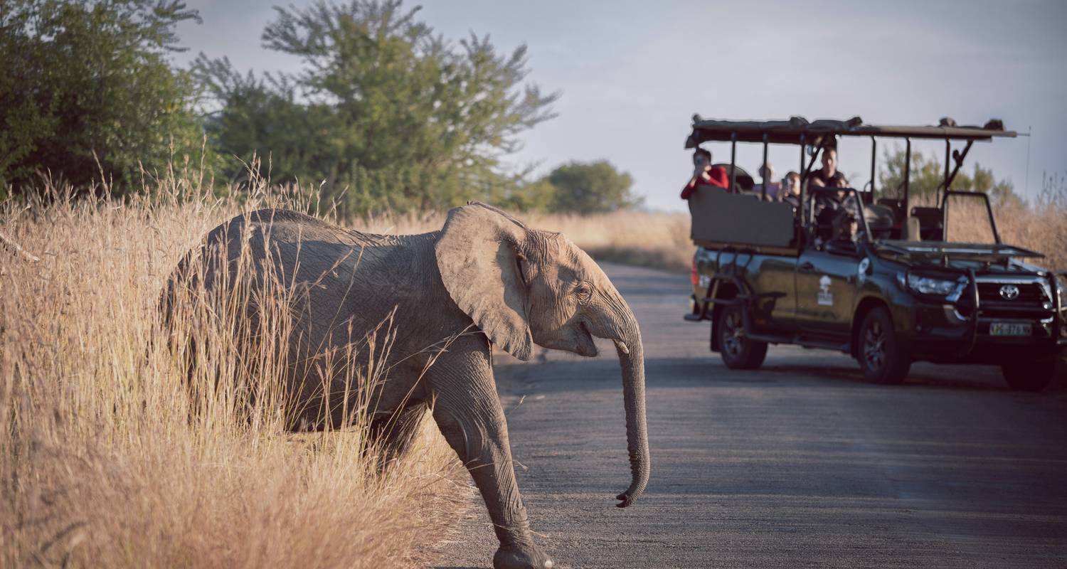 Merveilles de la nature : 9 jours de safari et de bonheur côtier en Afrique du Sud - Wanderful Holidays LLC