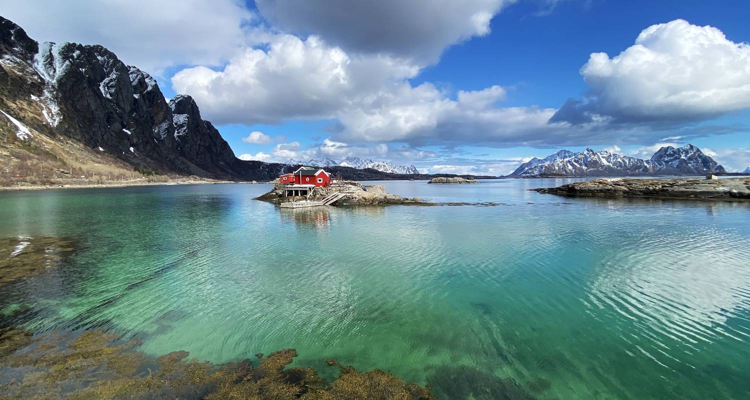 Ruta Mágica del Ártico - Thomsø y Lofoten - Nature Safari