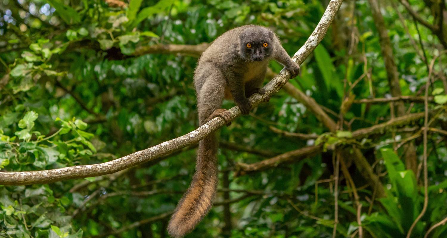 Voyages en groupe | 17 jours Madagascar en profondeur - HT Agency Tours